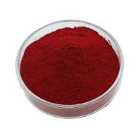 Meidan manufacturer P.R48:2 chemicals raw materials powder industrial red organic pigment abs plastic powder for plastic